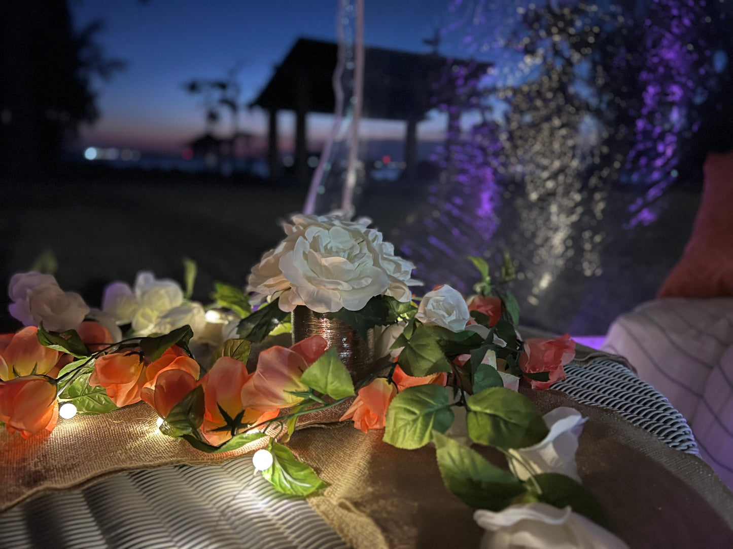 Under The Stars Package - (Option 1) 4 Hour Rental